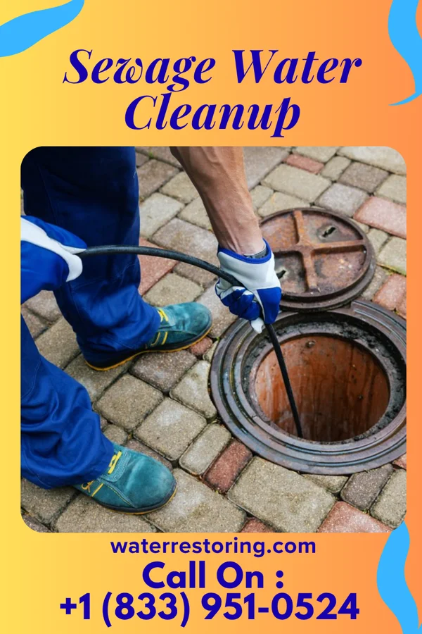 Sewage Water Cleanup in Westboro, MO